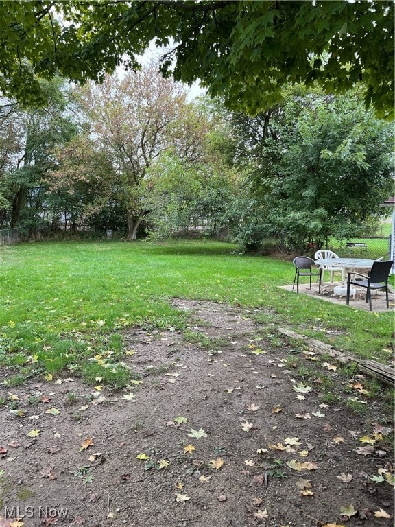 view of yard featuring a patio area