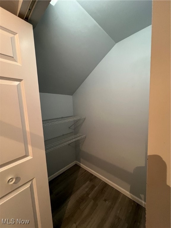 walk in closet featuring vaulted ceiling and dark wood-type flooring