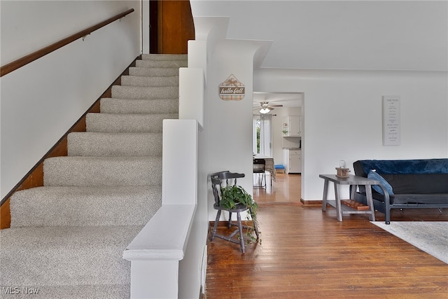 stairway featuring wood-type flooring and ceiling fan