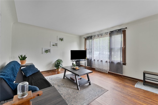 living room featuring hardwood / wood-style flooring