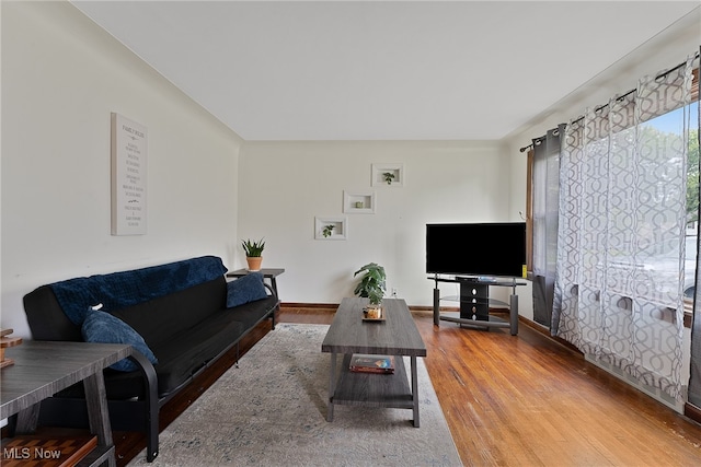 living room featuring hardwood / wood-style flooring