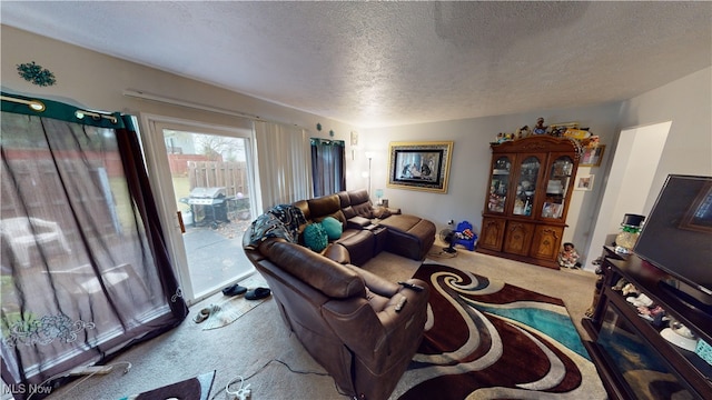 living room with a textured ceiling and carpet