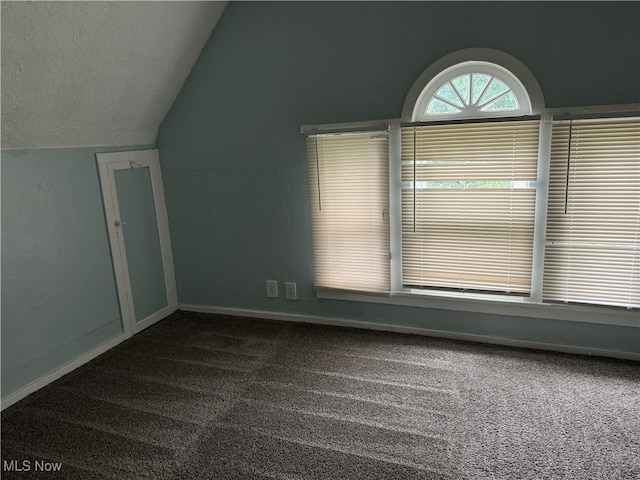 additional living space featuring a textured ceiling, dark colored carpet, and vaulted ceiling