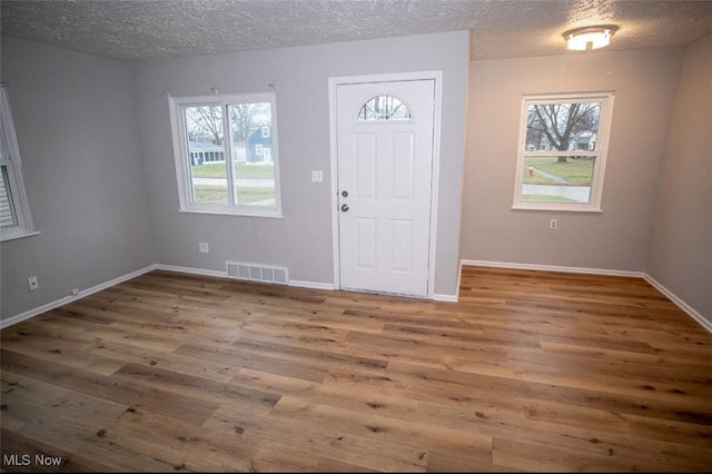 entryway with hardwood / wood-style flooring, plenty of natural light, and a textured ceiling