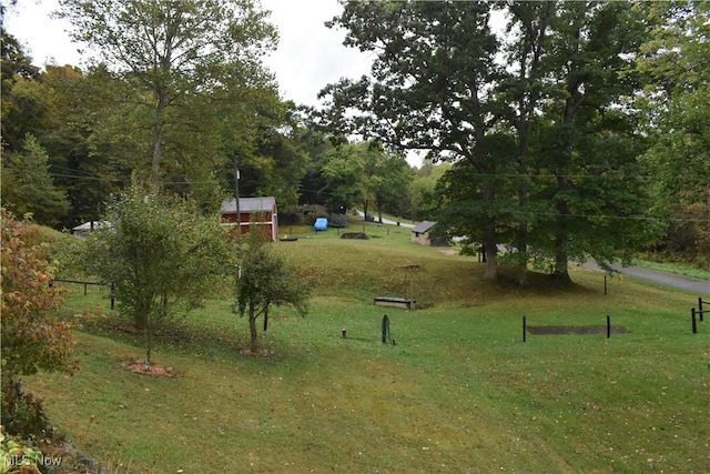 view of yard featuring a storage shed