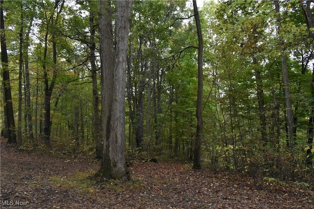 view of local wilderness