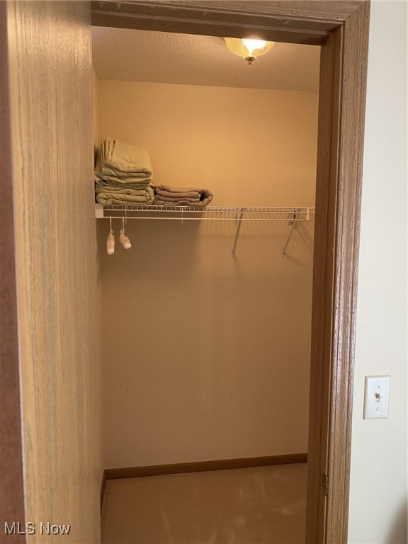 4865 Kathryn Dr, Geneva, OH 44041 - view of walk in closet