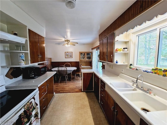 kitchen featuring dark brown cabinets, light wood-type flooring, sink, ceiling fan, and white electric range