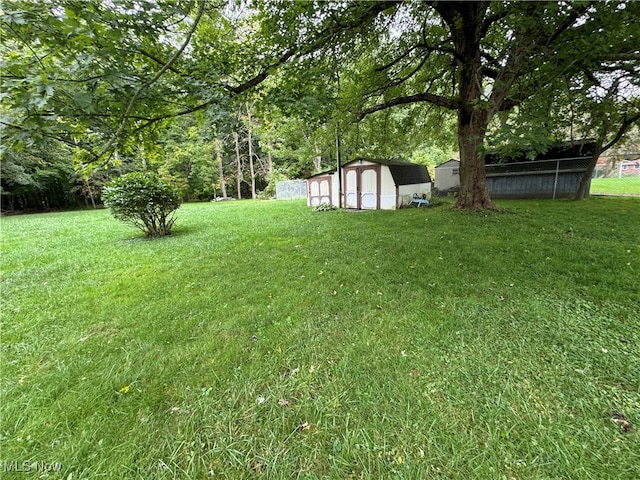 view of yard featuring a storage shed