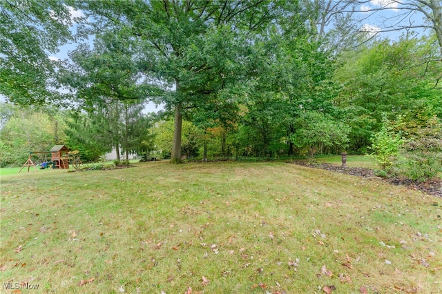 view of yard featuring a playground