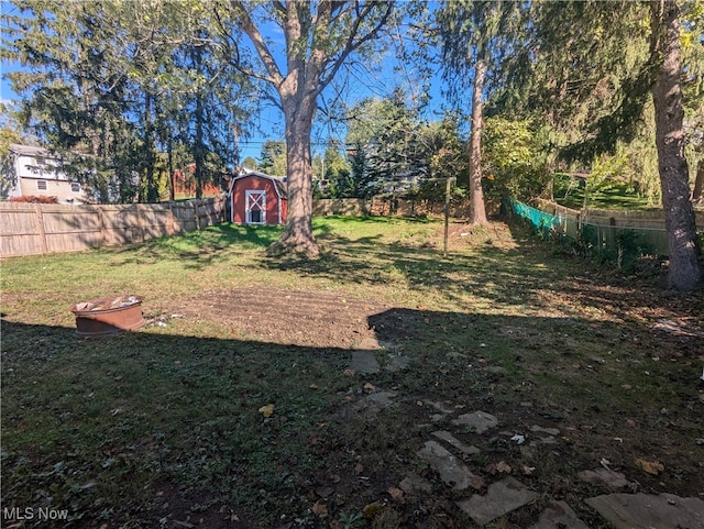 view of yard with a storage shed