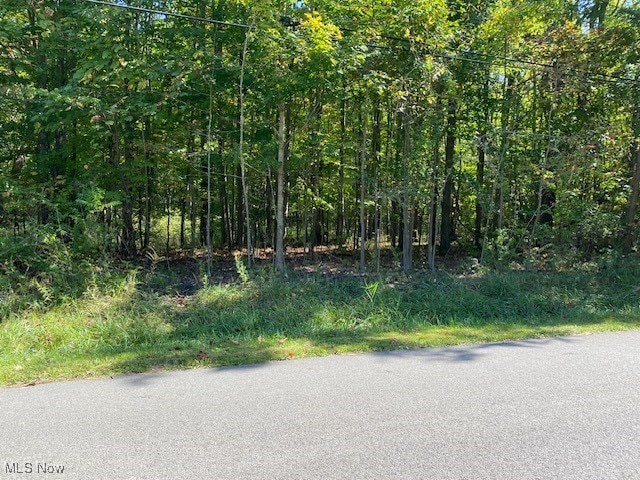 S Spruce St, Jefferson OH, 44047 land for sale