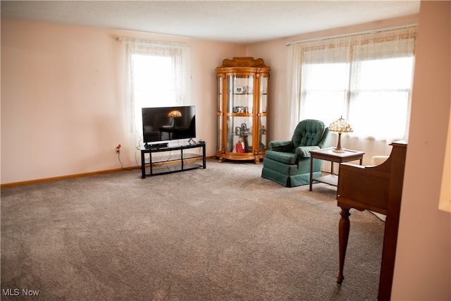 living area featuring carpet flooring