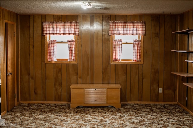 carpeted spare room with wooden walls, plenty of natural light, and a textured ceiling