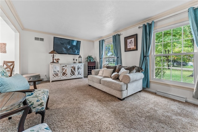 living room featuring baseboard heating, plenty of natural light, and carpet floors