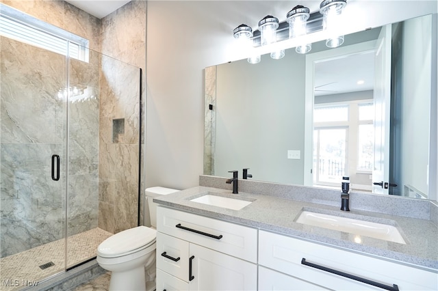 bathroom with vanity, an enclosed shower, and toilet