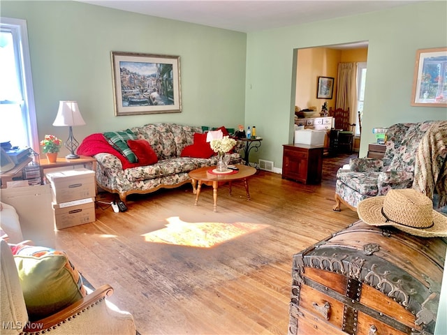 living room featuring wood-type flooring