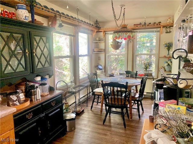 dining area featuring hardwood / wood-style floors and a healthy amount of sunlight