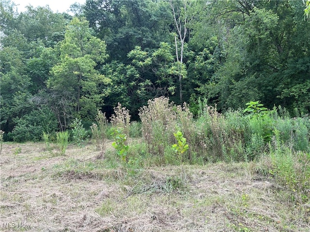 3304 Weir Ave, Weirton WV, 26062 land for sale