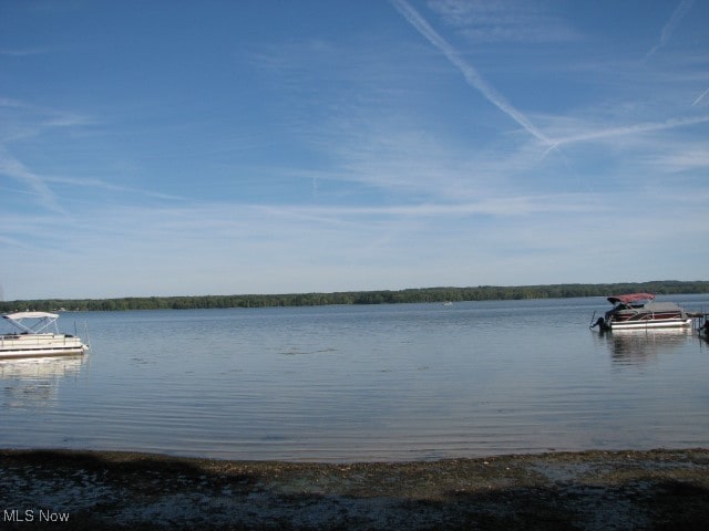 property view of water featuring a boat dock