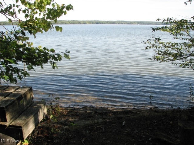 view of water feature