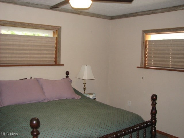 bedroom with ceiling fan