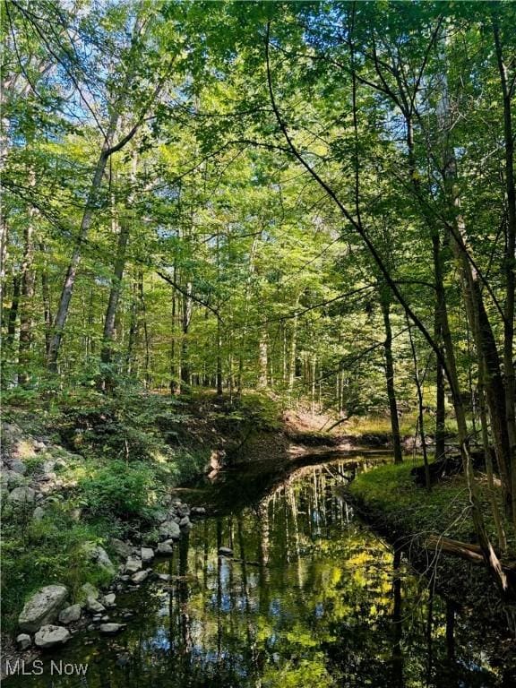 view of local wilderness