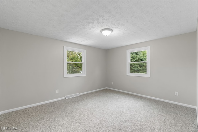 spare room with carpet floors, a textured ceiling, and a healthy amount of sunlight