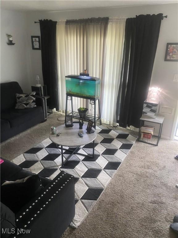 living area featuring carpet flooring and a healthy amount of sunlight