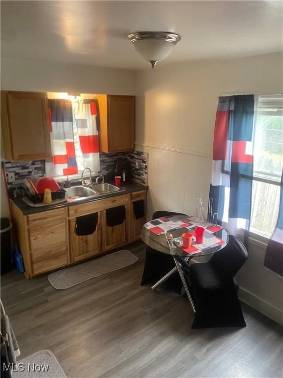 kitchen with a sink, wainscoting, and wood finished floors