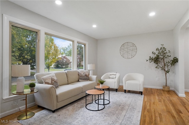 living room featuring light hardwood / wood-style flooring