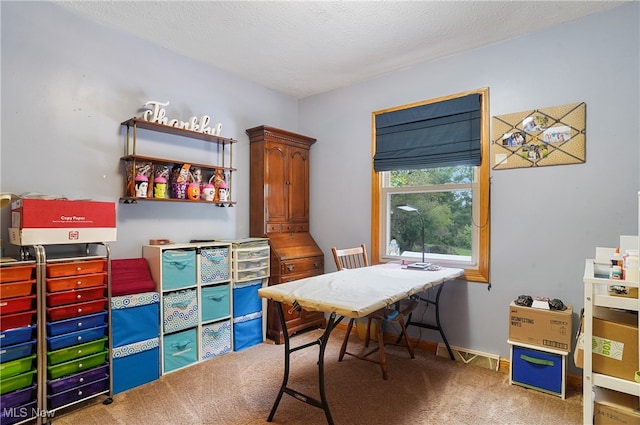 carpeted office space with a textured ceiling