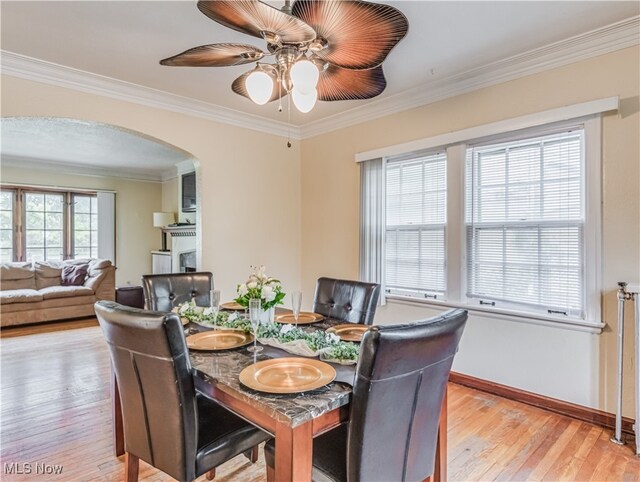 dining room featuring ceiling fan, crown molding, and light hardwood / wood-style floors