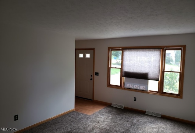 foyer entrance featuring a wealth of natural light, carpet, and a textured ceiling