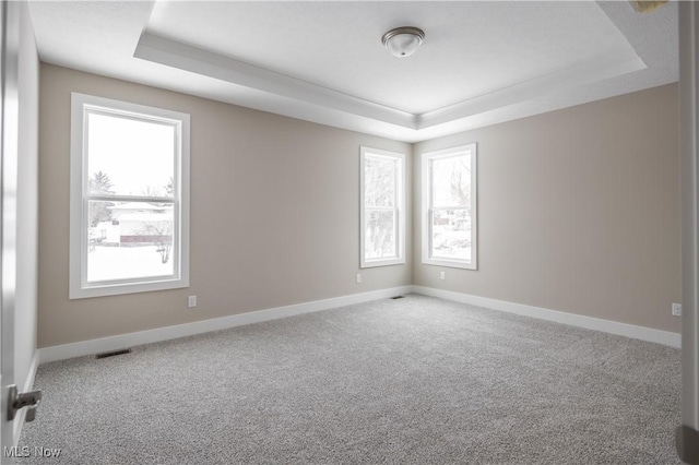 spare room with carpet flooring and a raised ceiling