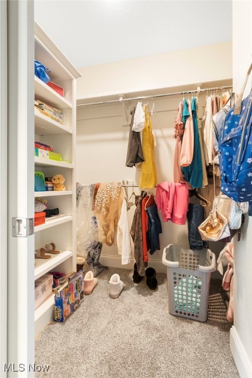 spacious closet with carpet floors