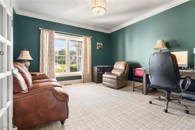 office featuring carpet flooring and crown molding