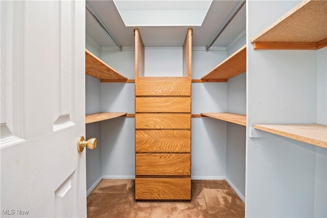 spacious closet with carpet floors