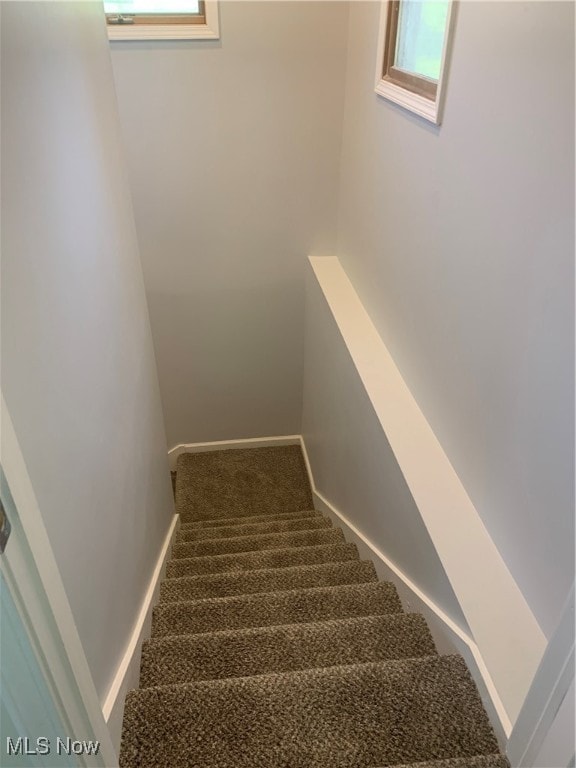 staircase featuring carpet flooring