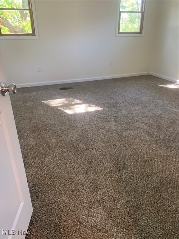 carpeted spare room featuring a wealth of natural light