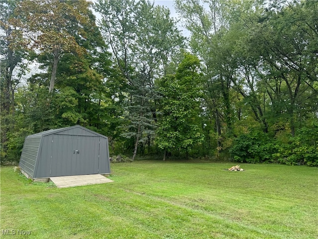 view of yard with a storage shed