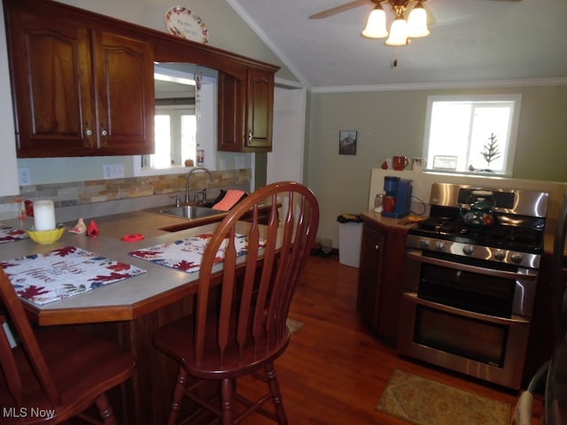 kitchen with a healthy amount of sunlight, dark hardwood / wood-style floors, stainless steel range with gas cooktop, and sink