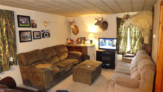 956 Hog Run Rd, New Martinsville, WV 26155 - photo 4