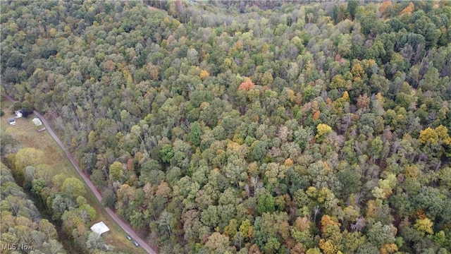 956 Hog Run Rd, New Martinsville, WV 26155 - photo 24