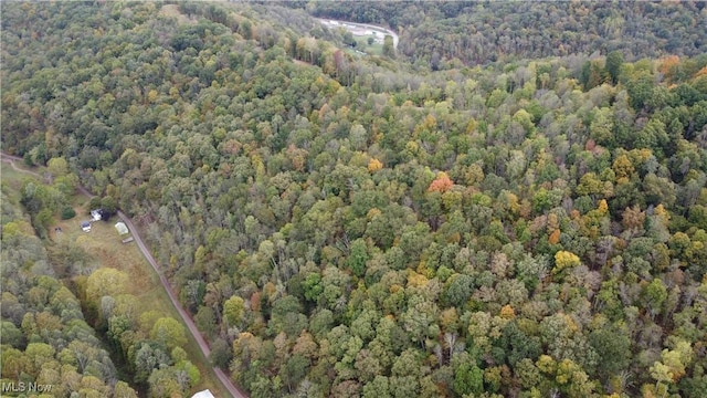 956 Hog Run Rd, New Martinsville, WV 26155 - photo 25