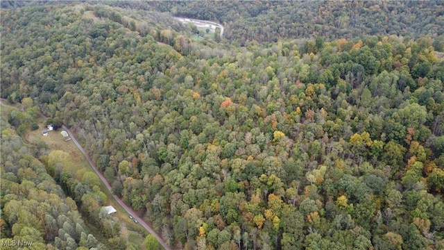 956 Hog Run Rd, New Martinsville, WV 26155 - photo 26