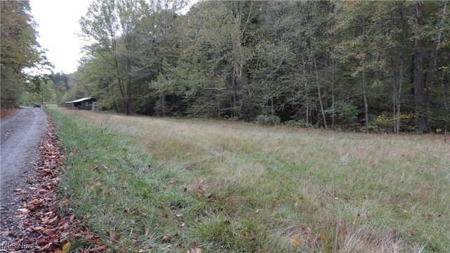 956 Hog Run Rd, New Martinsville, WV 26155 - photo 18