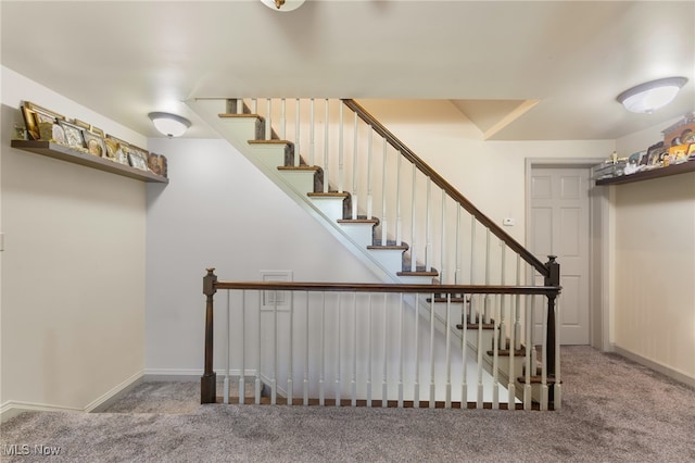 stairs featuring carpet flooring