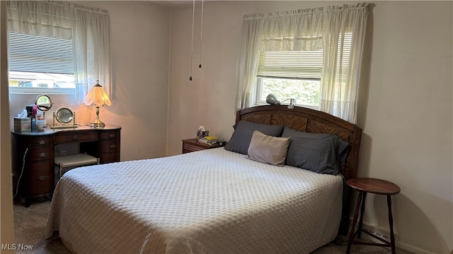 bedroom with multiple windows and carpet flooring