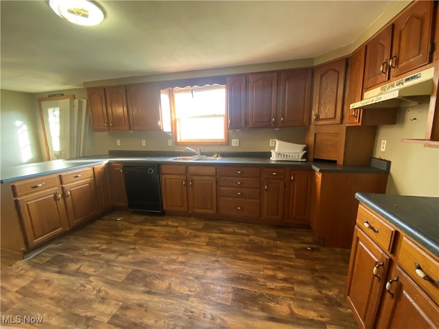 kitchen with dishwasher, sink, and dark wood-type flooring